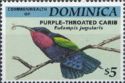 Purple-throated Carib (Eulampis jugularis)